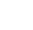 Custom WordPress Themes